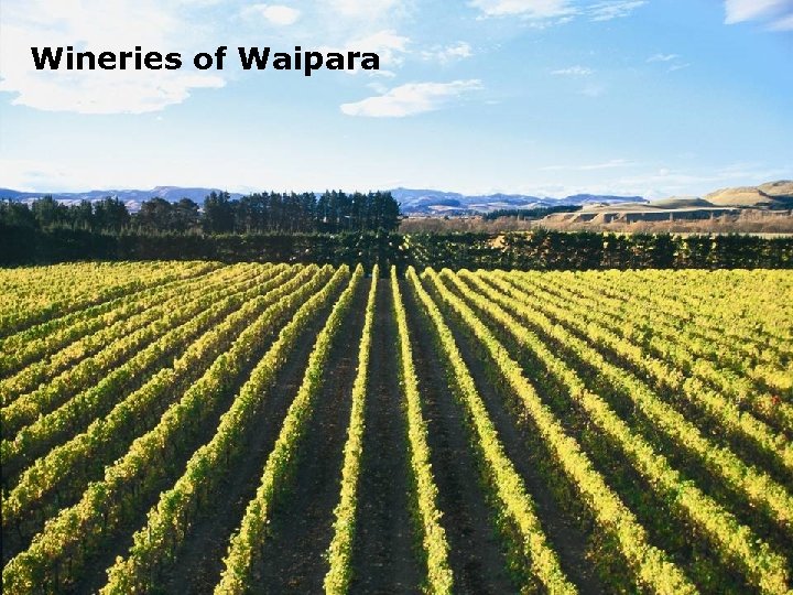 Wineries of Waipara 