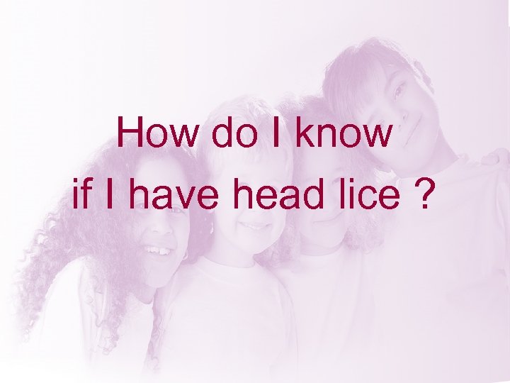 How do I know if I have head lice ? 