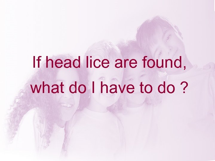 If head lice are found, what do I have to do ? 