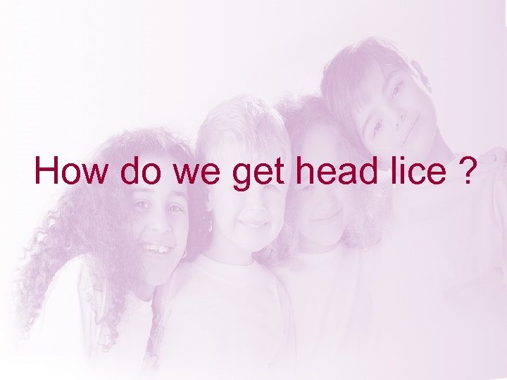 How do we get head lice ? 