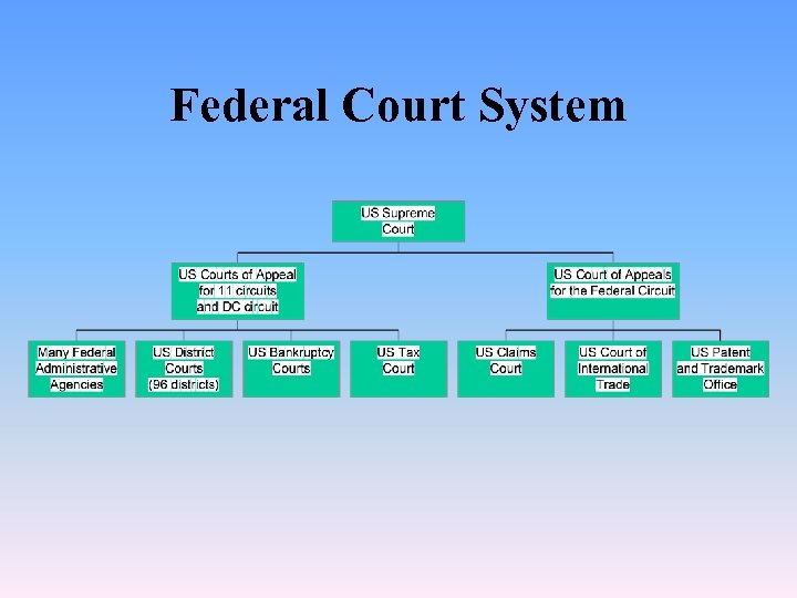 Federal Court System 