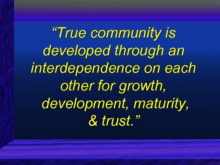 “True community is developed through an interdependence on each other for growth, development, maturity,