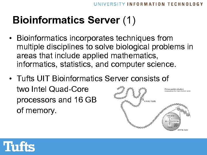 Bioinformatics Server (1) • Bioinformatics incorporates techniques from multiple disciplines to solve biological problems