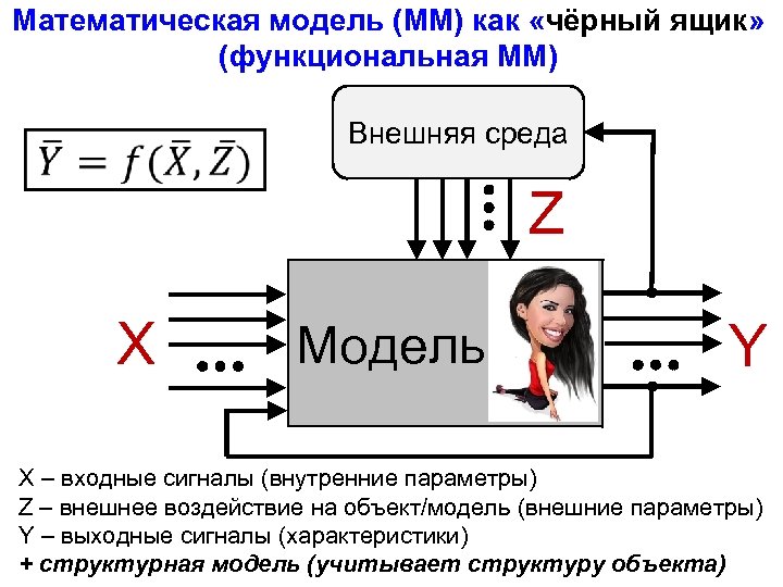 Математическая модель (ММ) как «чёрный ящик» (функциональная ММ) Внешняя среда Z X Модель Y