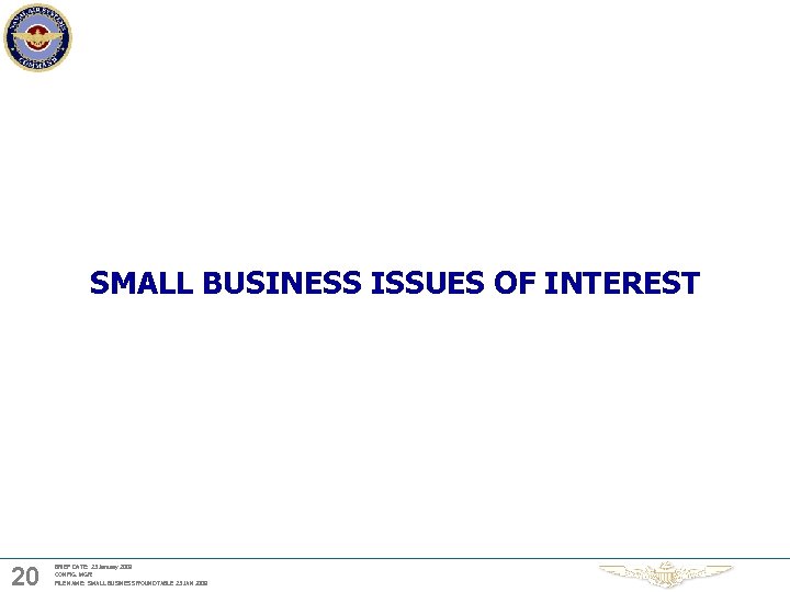 SMALL BUSINESS ISSUES OF INTEREST 20 BRIEF DATE: 23 January 2009 CONFIG. MGR: FILE