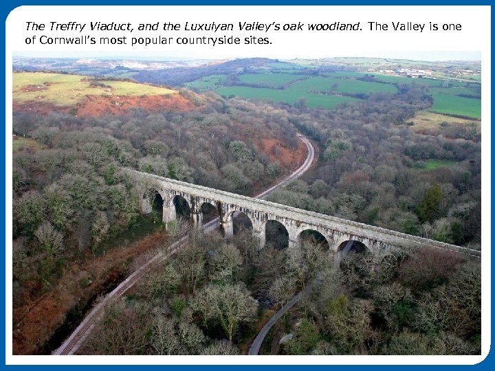The Treffry Viaduct, and the Luxulyan Valley’s oak woodland. The Valley is one of