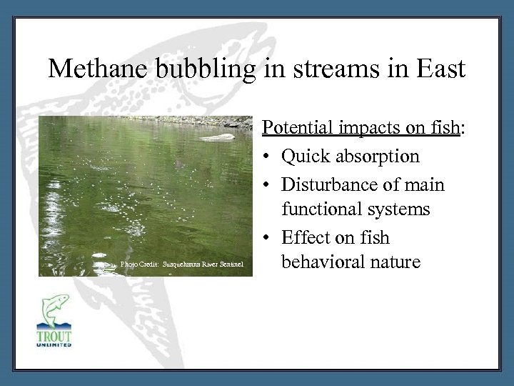 Methane bubbling in streams in East Photo Credit: Susquehanna River Sentinel Potential impacts on
