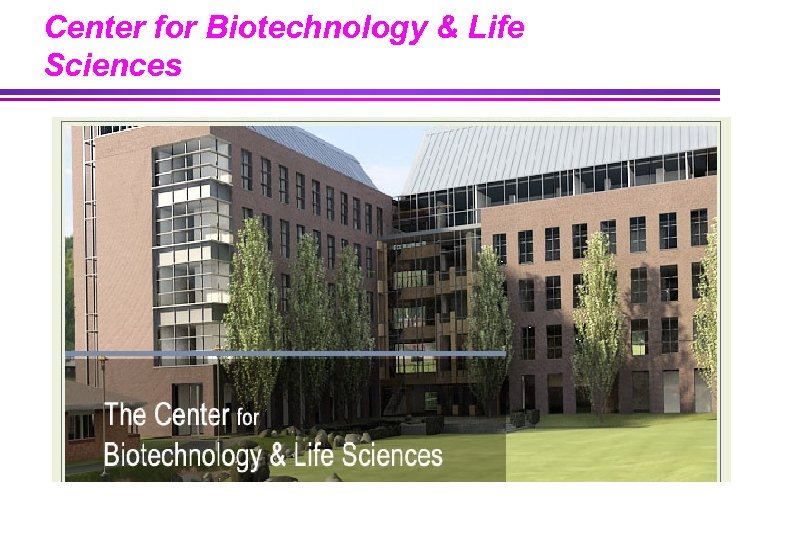 Center for Biotechnology & Life Sciences 