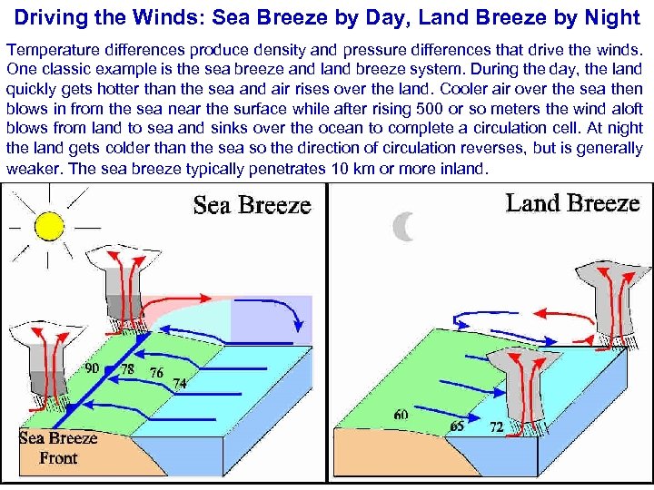 Driving the Winds: Sea Breeze by Day, Land Breeze by Night Temperature differences produce