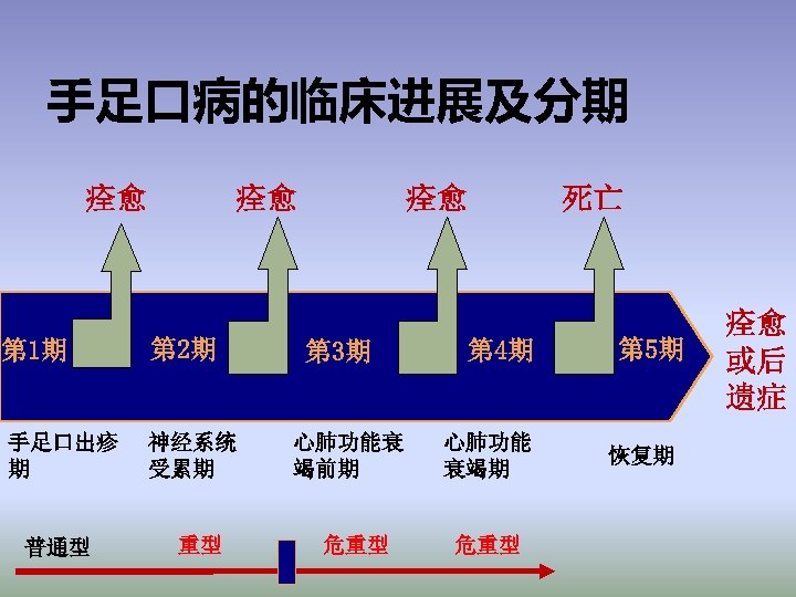 手足口病的临床进展及分期 痊愈 痊愈 第 1期 第 2期 手足口出疹 期 神经系统 受累期 普通型 重型 痊愈