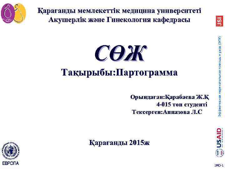 СӨЖ Тақырыбы: Партограмма Орындаған: Қарабаева Ж. Қ 4 -015 топ студенті Тексерген: Аппазова Л.