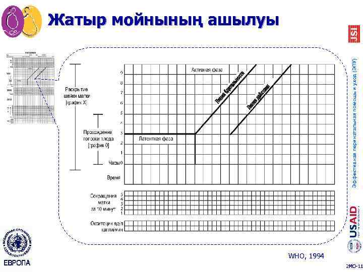 Эффективная перинатальная помощь и уход (ЭПУ) Жатыр мойнының ашылуы WHO, 1994 2 MO-11 