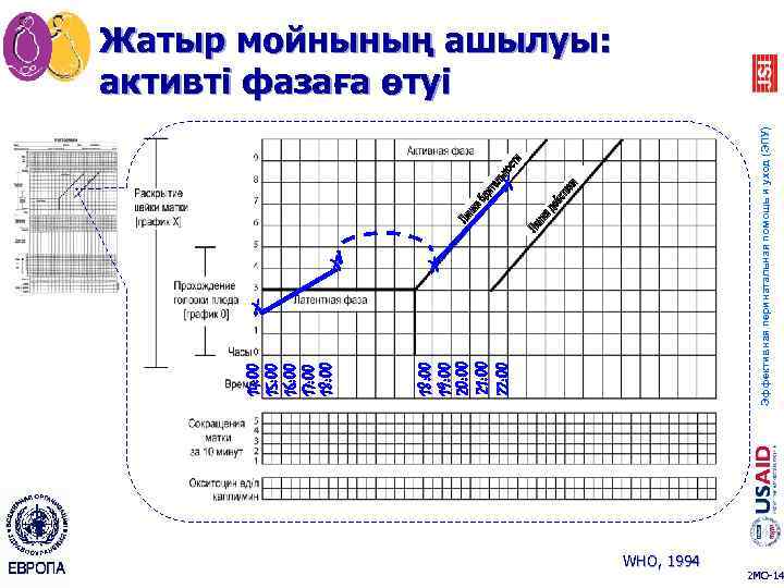 Партограмма в акушерстве как заполнять образец заполнения