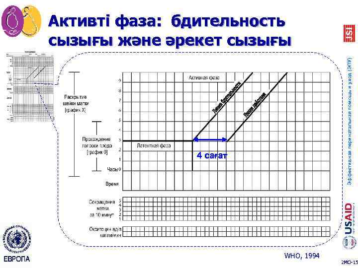 Эффективная перинатальная помощь и уход (ЭПУ) Активті фаза: бдительность сызығы және әрекет сызығы 4