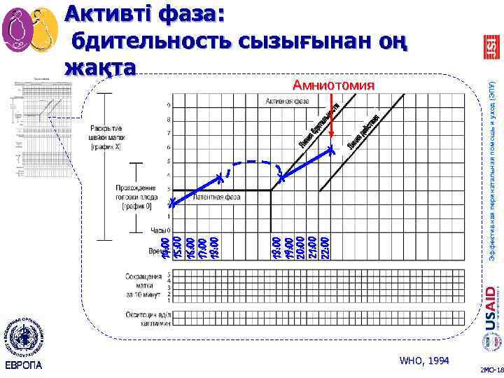 X Амниотомия X X X Эффективная перинатальная помощь и уход (ЭПУ) 18: 00 19: