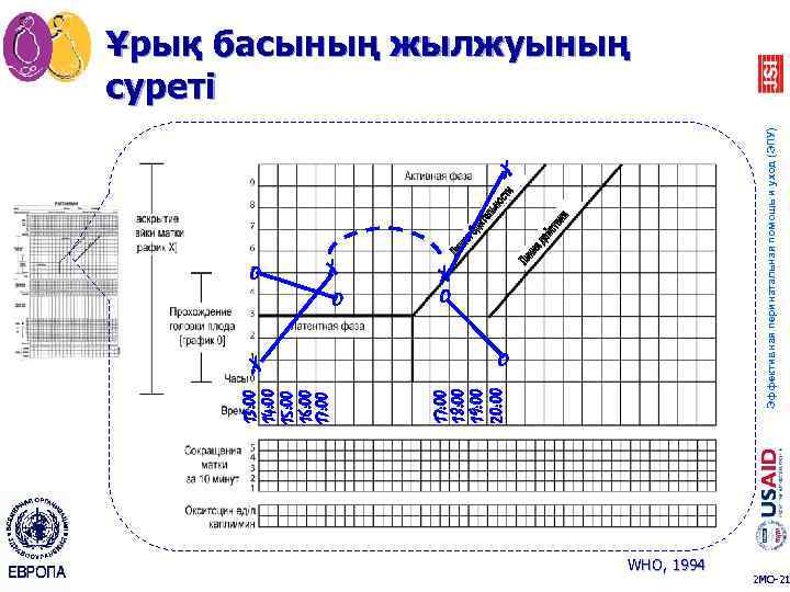 Партограмма в акушерстве образец