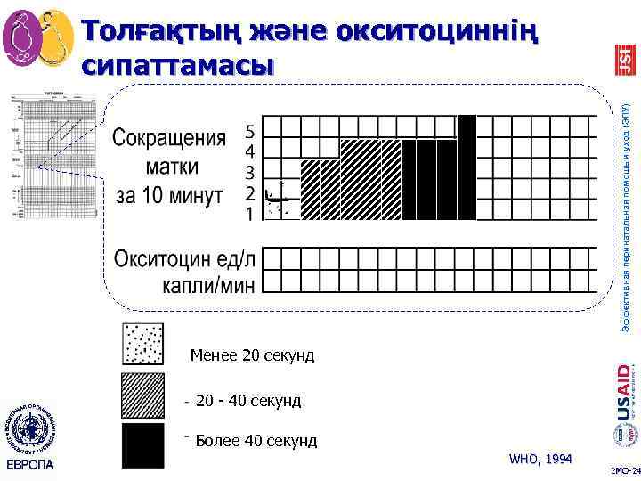 Эффективная перинатальная помощь и уход (ЭПУ) Толғақтың және окситоциннің сипаттамасы Менее 20 секунд 20