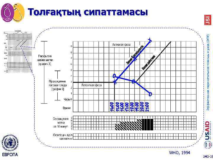 Партограмма в акушерстве как заполнять образец заполнения