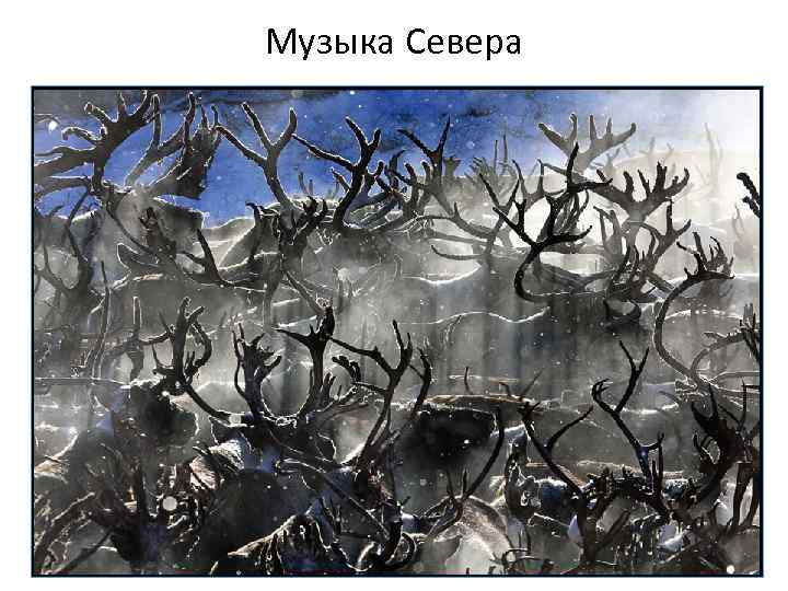 Музыка Севера 