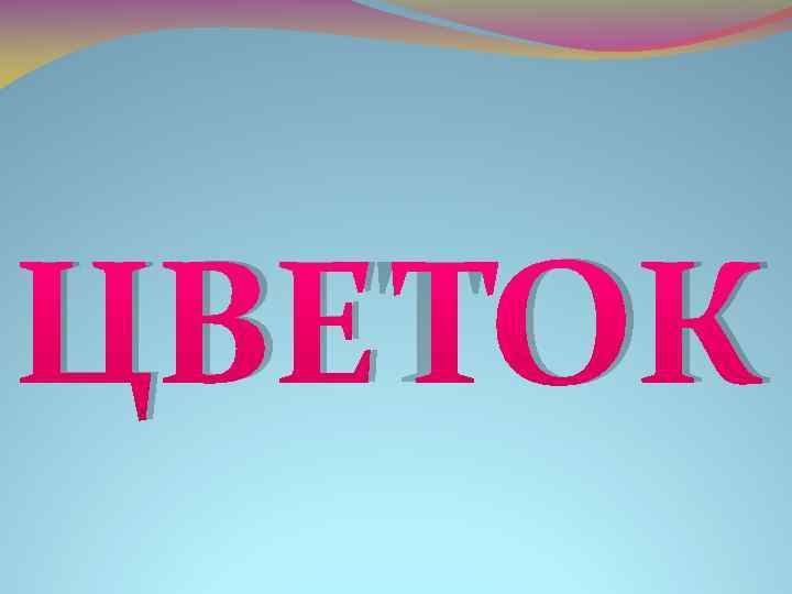 ЦВЕТОК 