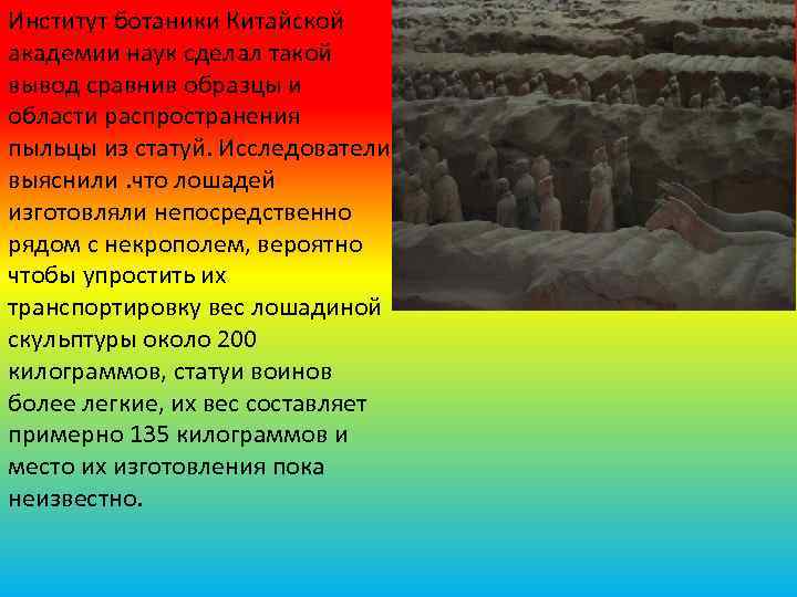 Институт ботаники Китайской академии наук сделал такой вывод сравнив образцы и области распространения пыльцы