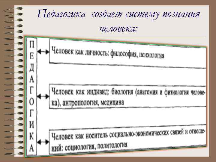 Педагогика создает систему познания человека: 