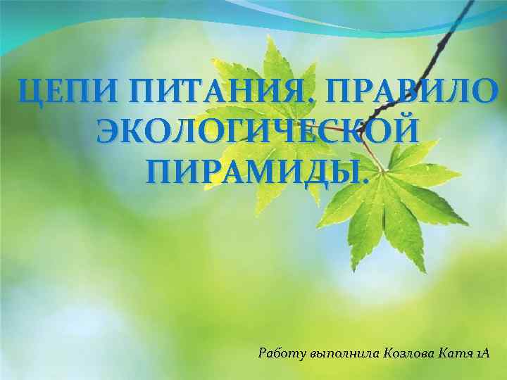 ЦЕПИ ПИТАНИЯ. ПРАВИЛО ЭКОЛОГИЧЕСКОЙ ПИРАМИДЫ. Работу выполнила Козлова Катя 1 А 