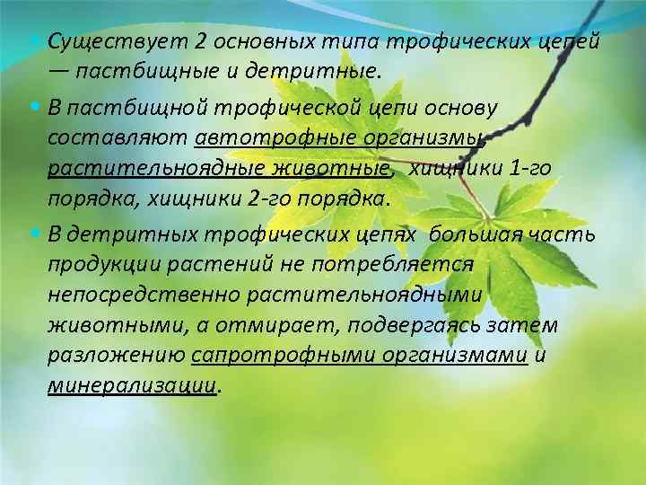  Существует 2 основных типа трофических цепей — пастбищные и детритные. В пастбищной трофической