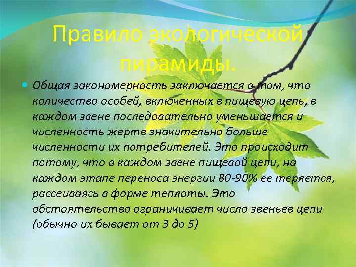 Правило экологической пирамиды. Общая закономерность заключается в том, что количество особей, включенных в пищевую