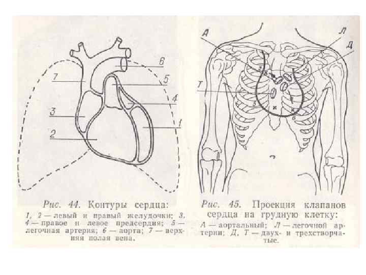 Перкуссия для фона