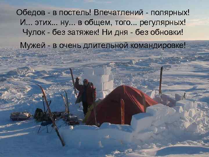 Обедов - в постель! Впечатлений - полярных! И. . . этих. . . ну.