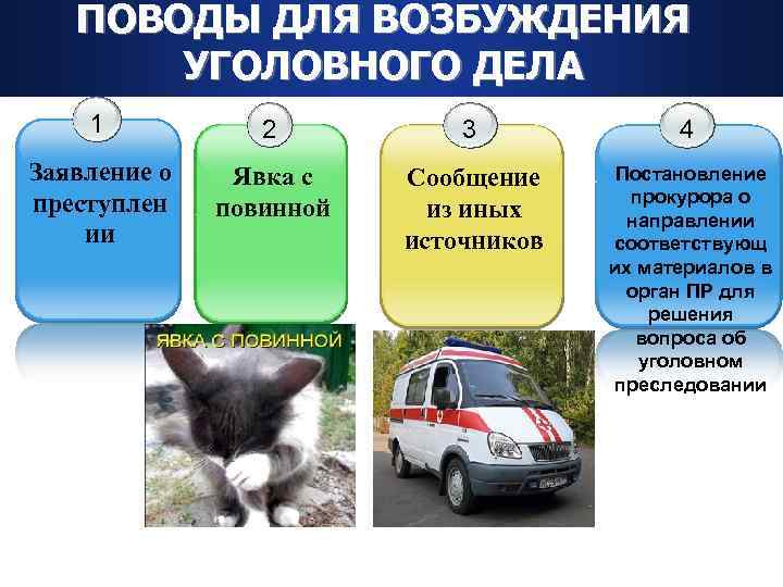ПОВОДЫ ДЛЯ ВОЗБУЖДЕНИЯ УГОЛОВНОГО ДЕЛА 1 2 3 4 Заявление о преступлен ии Явка