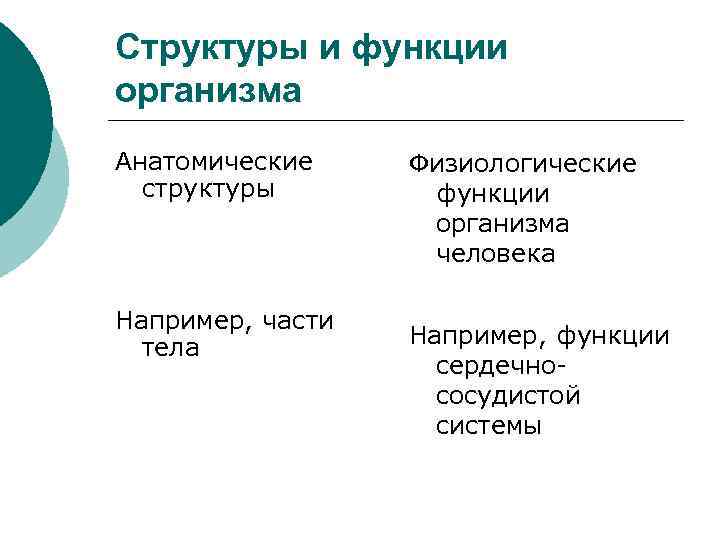 Структуры и функции организма Анатомические структуры Например, части тела Физиологические функции организма человека Например,