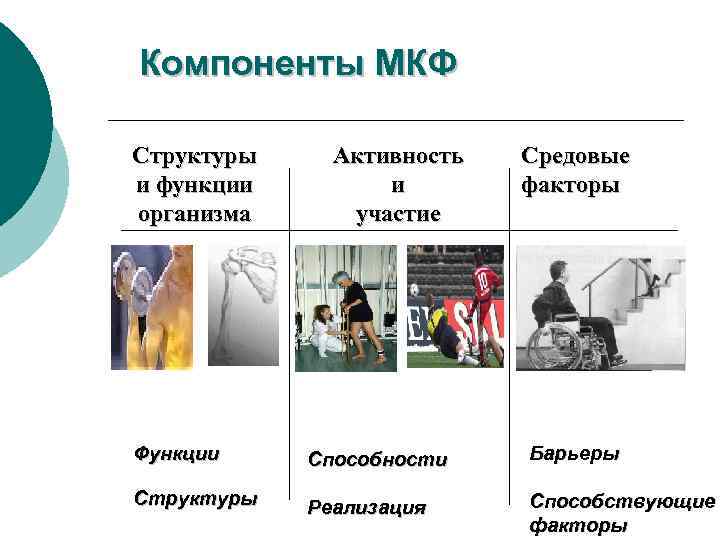 Компоненты МКФ Структуры и функции организма Активность и участие Средовые факторы Функции Способности Барьеры