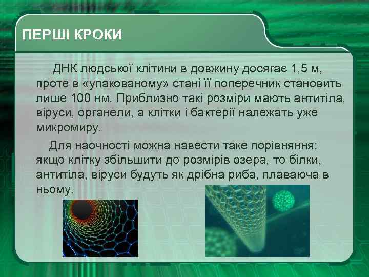  ПЕРШІ КРОКИ ДНК людської клітини в довжину досягає 1, 5 м, проте в