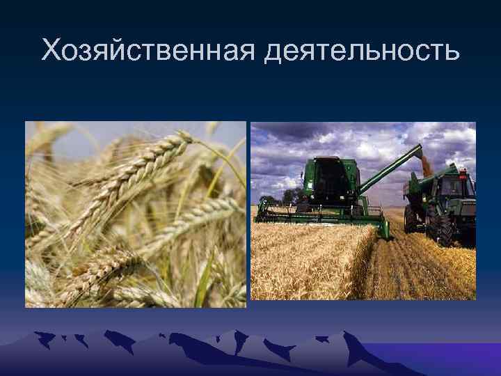 Хозяйственная деятельность 