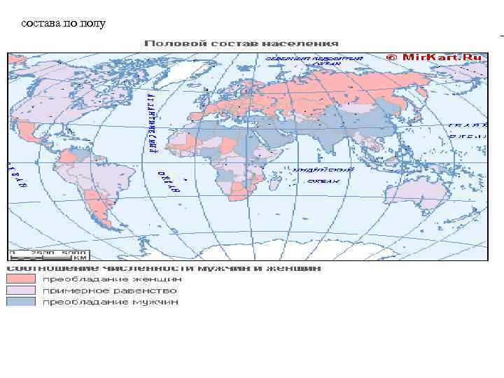 состава по полу 