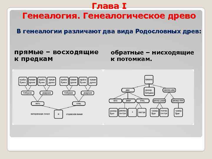 Ознакомившись со своей родословной покажите на схеме или на рисунке