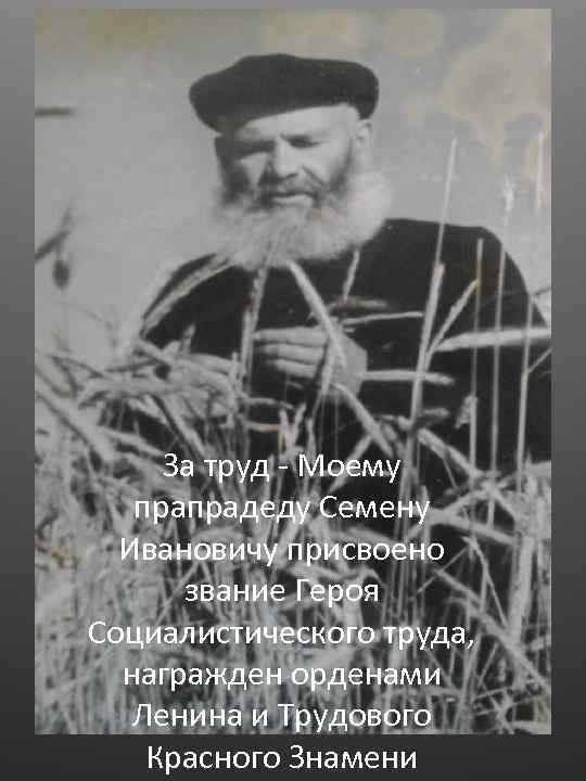 За труд - Моему прапрадеду Семену Ивановичу присвоено звание Героя Социалистического труда, награжден орденами
