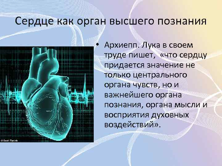 Познай сердце. Сердце важнейший орган организма. Сердце жизненно важный орган. Доказать что сердце это орган.