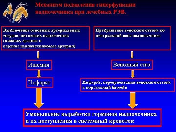 Нейроэндокринные опухоли общие принципы диагностики и лечения руководство