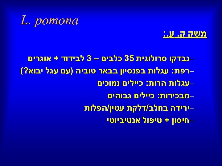  L. pomona משק ק. ע. : –נבדקו סרולוגית 53 כלבים – 3 לבידוד