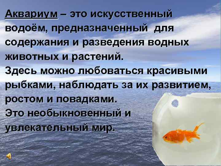 Аквариум – это искусственный водоём, предназначенный для содержания и разведения водных животных и растений.