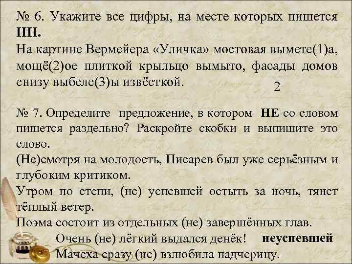 № 6. Укажите все цифры, на месте которых пишется НН. На картине Вермейера «Уличка»