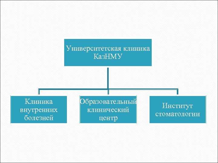 Университетская клиника Каз. НМУ Клиника внутренних болезней Образовательный клинический центр Институт стоматологии 
