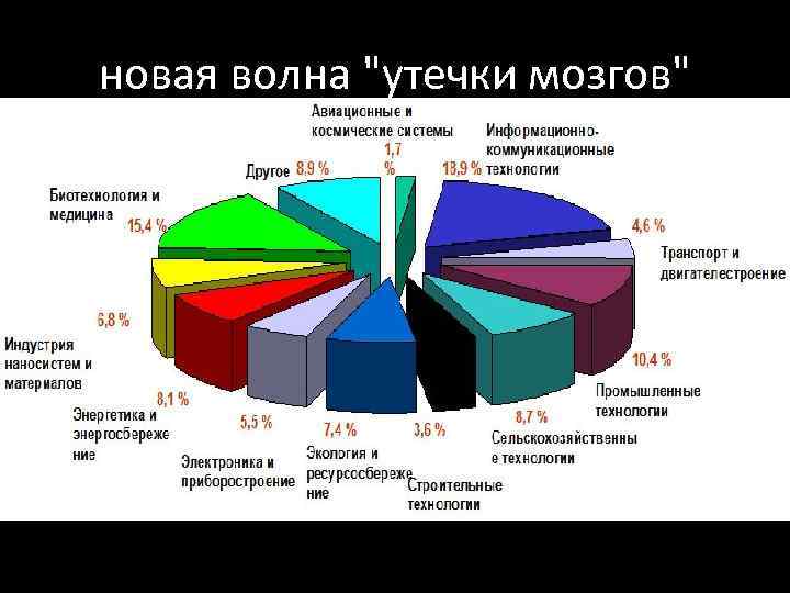 новая волна 