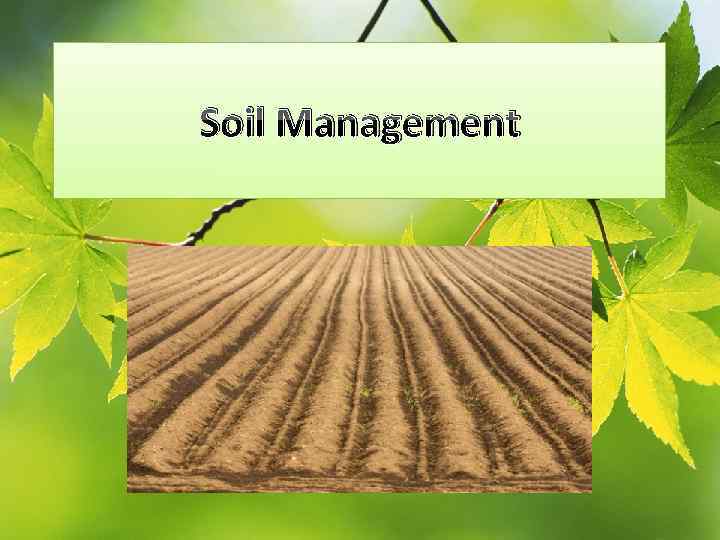Soil Management j 