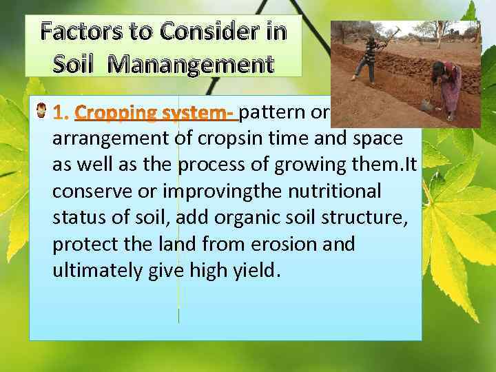 Factors to Consider in Soil Manangement pattern or arrangement of cropsin time and space