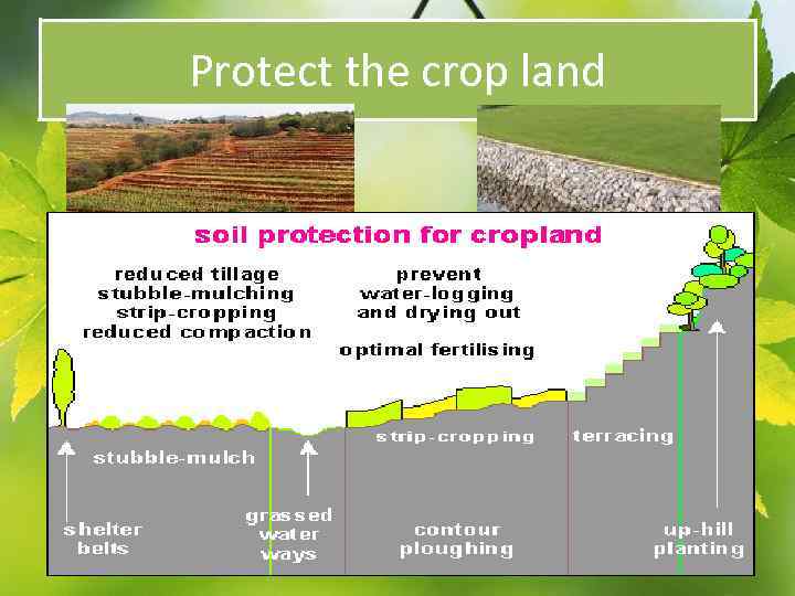 Protect the crop land 