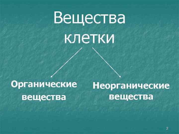 Вещества клетки Органические вещества Неорганические вещества 2 